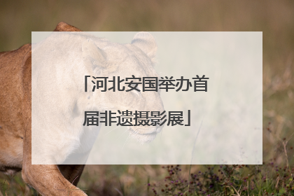 河北安国举办首届非遗摄影展