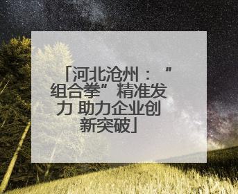 河北沧州：“组合拳”精准发力 助力企业创新突破