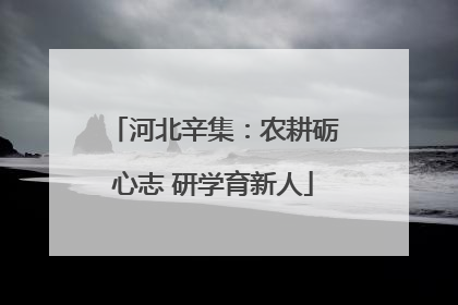 河北辛集：农耕砺心志 研学育新人