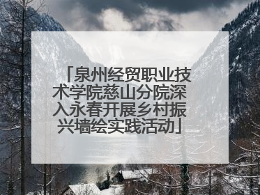 泉州经贸职业技术学院慈山分院深入永春开展乡村振兴墙绘实践活动
