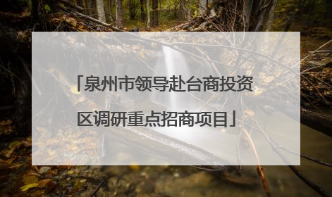 泉州市领导赴台商投资区调研重点招商项目