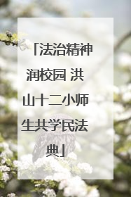 法治精神润校园 洪山十二小师生共学民法典