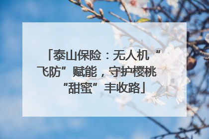 泰山保险：无人机“飞防”赋能，守护樱桃“甜蜜”丰收路