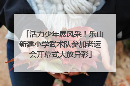 活力少年展风采！乐山新建小学武术队参加老运会开幕式大放异彩