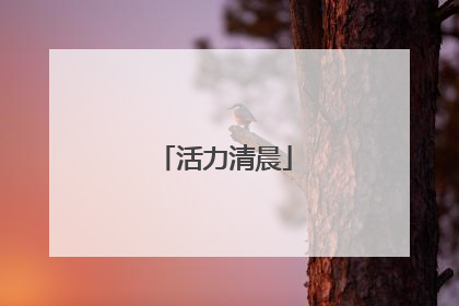 活力清晨
