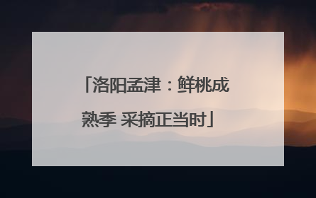 洛阳孟津：鲜桃成熟季 采摘正当时