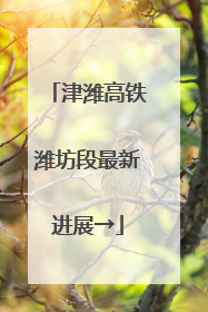 津潍高铁潍坊段最新进展→