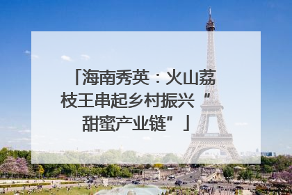 海南秀英：火山荔枝王串起乡村振兴“甜蜜产业链”