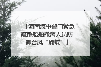 海南海事部门紧急疏散船舶撤离人员防御台风“蝴蝶”
