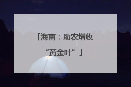 海南：助农增收 “黄金叶”