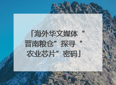 海外华文媒体“晋南粮仓”探寻“农业芯片”密码