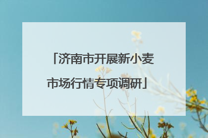 济南市开展新小麦市场行情专项调研