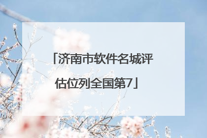 济南市软件名城评估位列全国第7