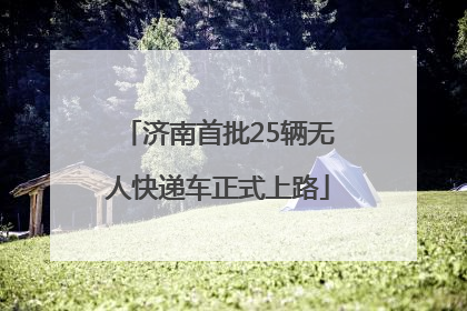 济南首批25辆无人快递车正式上路