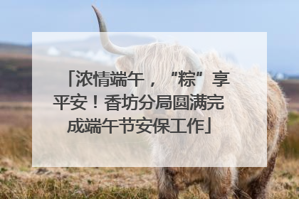 浓情端午，“粽”享平安！香坊分局圆满完成端午节安保工作
