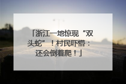 浙江一地惊现“双头蛇”！村民吓懵：还会倒着爬！