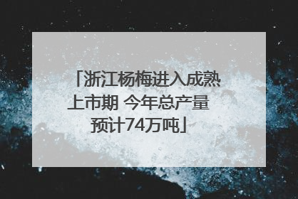 浙江杨梅进入成熟上市期 今年总产量预计74万吨