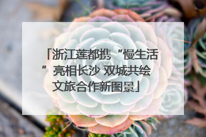 浙江莲都携“慢生活”亮相长沙 双城共绘文旅合作新图景