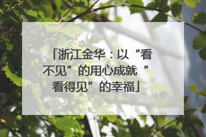 浙江金华：以“看不见”的用心成就“看得见”的幸福