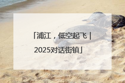 浦江，低空起飞｜2025对话街镇