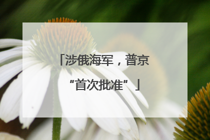 涉俄海军，普京“首次批准”