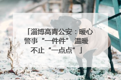 淄博高青公安：暖心警事“一件件” 温暖不止“一点点”