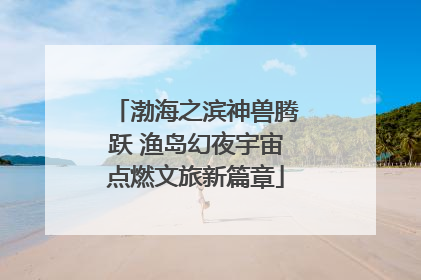 渤海之滨神兽腾跃 渔岛幻夜宇宙点燃文旅新篇章