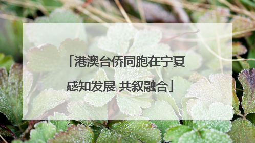 港澳台侨同胞在宁夏感知发展 共叙融合