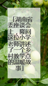 湖南省委座谈会上，隆回这位小学老师讲述了一个乡村教学点的温暖故事