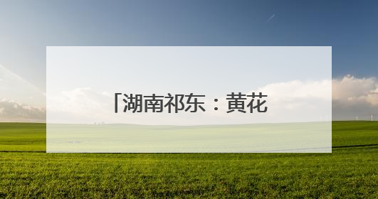 湖南祁东：黄花菜产业助农增收