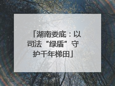 湖南娄底：以司法“绿盾”守护千年梯田