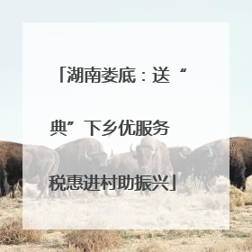 湖南娄底：送“典”下乡优服务 税惠进村助振兴