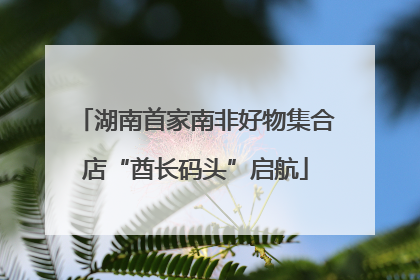 湖南首家南非好物集合店“酋长码头”启航
