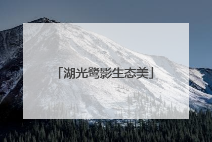 湖光鹭影生态美