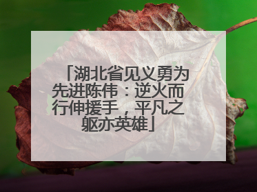 湖北省见义勇为先进陈伟：逆火而行伸援手，平凡之躯亦英雄
