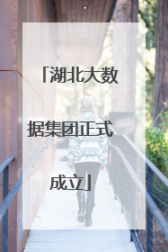 湖北大数据集团正式成立