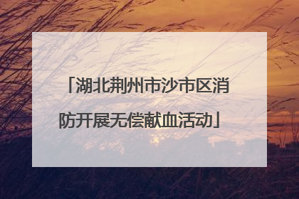 湖北荆州市沙市区消防开展无偿献血活动
