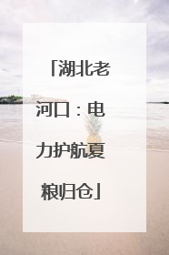 湖北老河口：电力护航夏粮归仓