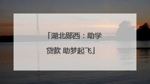 湖北郧西：助学贷款 助梦起飞