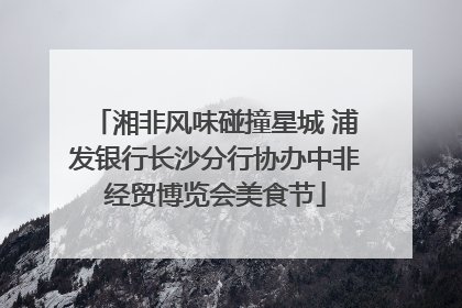 湘非风味碰撞星城 浦发银行长沙分行协办中非经贸博览会美食节
