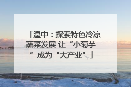 湟中：探索特色冷凉蔬菜发展 让“小菊芋”成为“大产业”