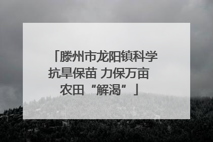 滕州市龙阳镇科学抗旱保苗 力保万亩农田“解渴”