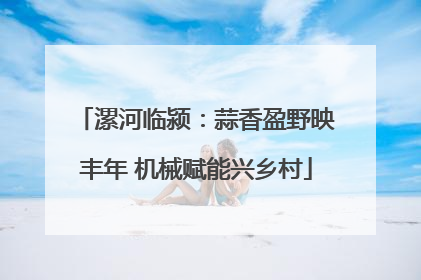漯河临颍：蒜香盈野映丰年 机械赋能兴乡村