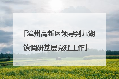 漳州高新区领导到九湖镇调研基层党建工作