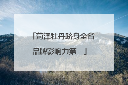 菏泽牡丹跻身全省品牌影响力第一