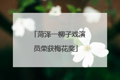 菏泽一柳子戏演员荣获梅花奖