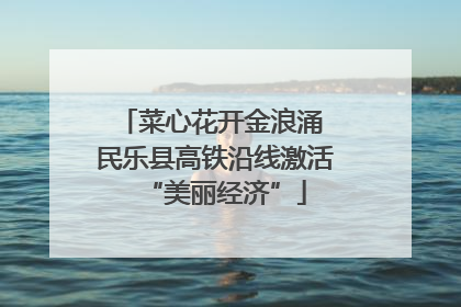菜心花开金浪涌 民乐县高铁沿线激活“美丽经济”