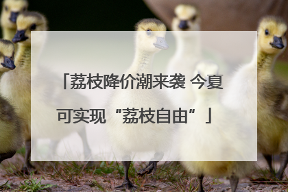 荔枝降价潮来袭 今夏可实现“荔枝自由”