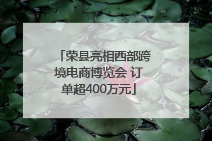 荣县亮相西部跨境电商博览会 订单超400万元