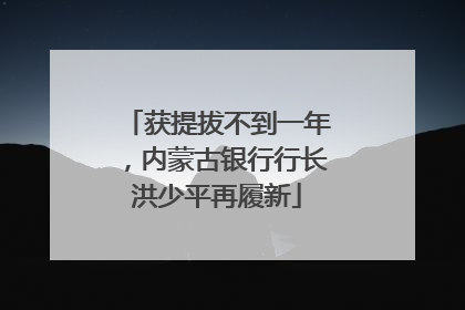 获提拔不到一年，内蒙古银行行长洪少平再履新